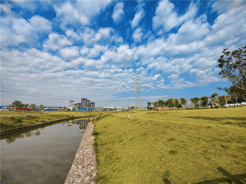 小工作群發(fā)揮大作用，共護朝陽(yáng)溪兩岸生態(tài)福祉